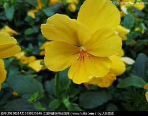 青春奋斗梦想励志句子(89句)