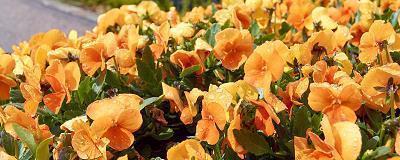 表示对感情很失望的句子