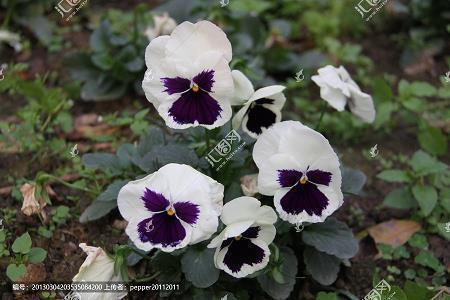 有深度有涵养语录 有深度涵养的句子