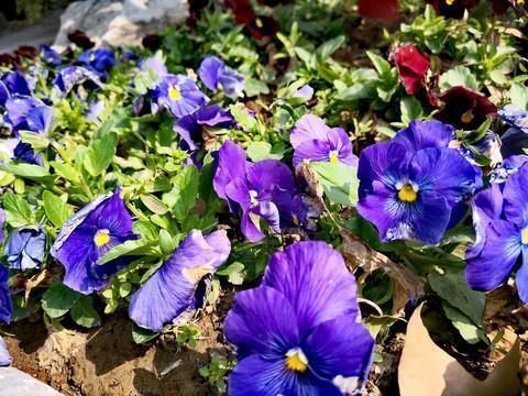 简短精辟的正能量超拽句子摘录12句