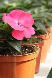 爱情感悟的句子简短的(精选38句)