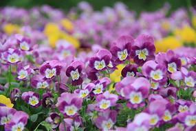 适合发朋友圈的晚安句子 晚安文案短句合集39句