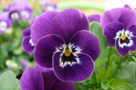 朋友圈早安短句子 清晨微语正能量集合28句