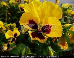 家里人对我失望的句子