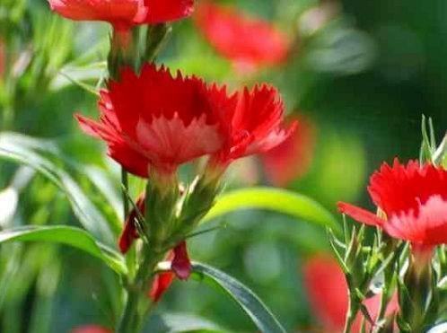 发朋友圈努力挣钱的句子 余生只想努力挣钱的说说(精选38句)