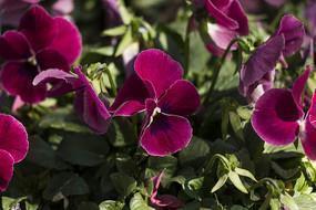 温柔到爆的神仙励志句子