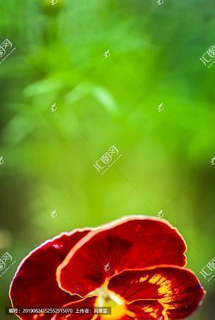 父亲节致爸爸的话