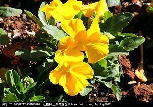 纸尿裤文案经典句子(精选53句)