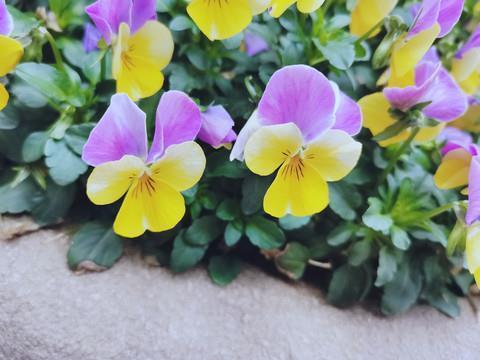 有意境的句子94句