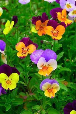 要开心但是很难过的句子