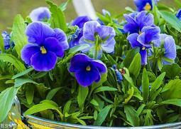 表达等待的唯美句子大全