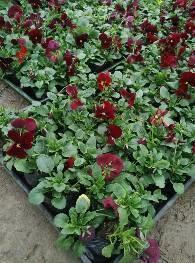 2021再见2022你好的人生感悟文案(精选87句)