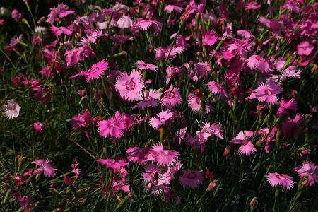 立春节气朋友圈创意祝福文案