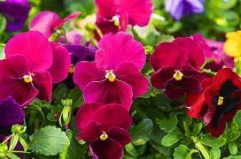 句句扎心情感语录 深夜情感扎心语录