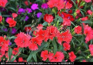 【精品】发朋友圈的简短的句子心情汇编84句