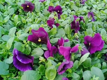 刮台风朋友圈说说搞笑精选(精选75句)