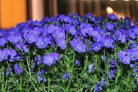 男人必须努力句子 男人拼搏励志的正能量句子