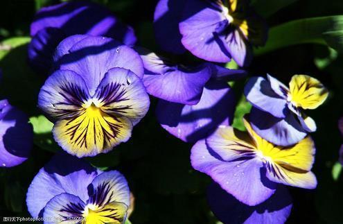 甜蜜情侣在一起晒幸福的句子 把你放在我心最柔软的地方