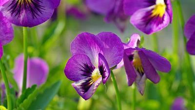 发朋友圈形容很开心的句子