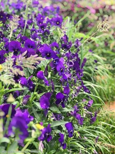 端午节发朋友圈的文案摘抄26句