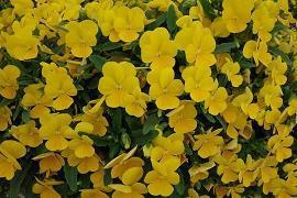 告别2020人生感悟句子文案