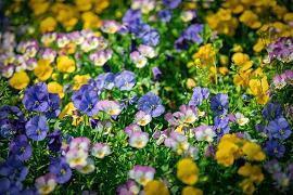 简单一句话唯美说说句子