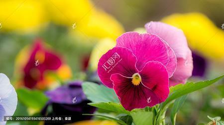 人生名言名句优美短句 名言名句优美句子33句