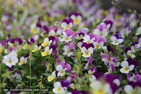 勤俭节约名言警句摘抄(精选80句)