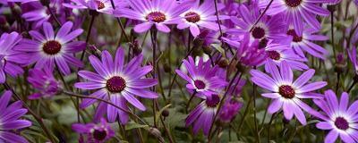 十月你好感慨文案句子(精选99句)