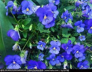 满是遗憾的温柔文案 仙到极致的温柔文案汇总70句