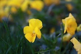 用理所当然造句大全 理所当然用于句首造句 理所当然怎么造句