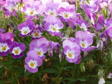 生日伤感朋友圈说说 微信伤感朋友圈说说(精选46句)