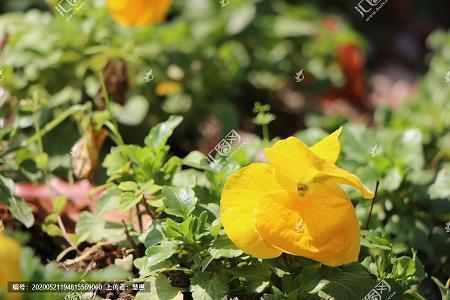 让对方看了难受的说说 一秒泪崩的句子汇编80句