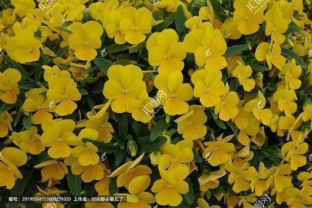 让对方看到心疼的说说短句子合集96句