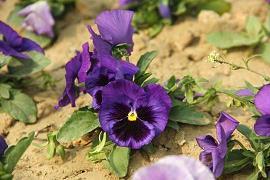 秋分唯美走心文案说说(精选97句)