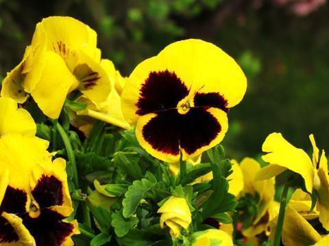 每日晚安朋友圈正能量语录摘录26句