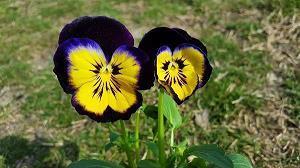 关于和发小在一起的开心句子