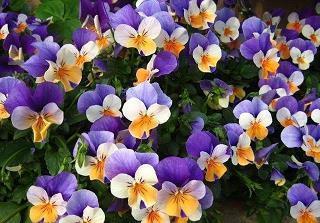 高情商说晚安 让人一看就赞的晚安说说合集77句