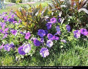 2021微信晚安正能量句子集合25句