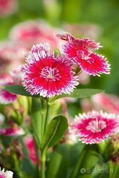 最火文案短句大全 干净治愈系的文案短句