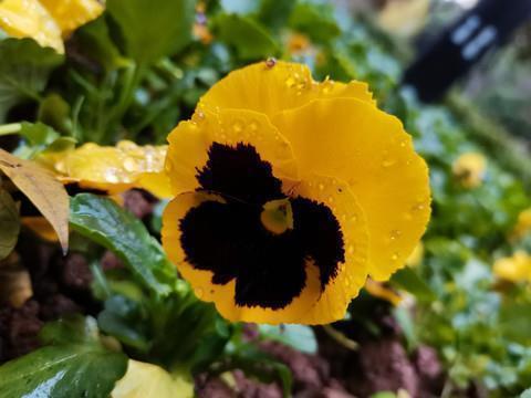 安静唯美忧伤个性的微信网名 花瑾少年