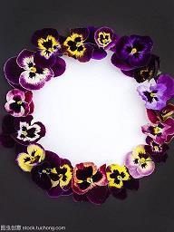 真心话都有哪些问题可以问(精选35句)