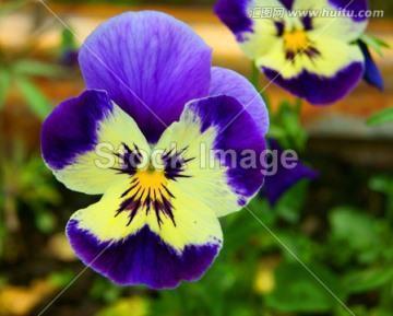 献给国家关于庆祝国庆节手抄报对联横批大全