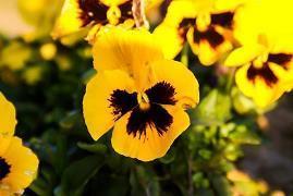 关于节约用水的标语 节约用水的名言汇总50句