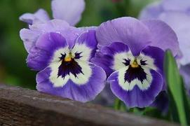 追女生的情话短句 此刻，好想能给你一个拥抱