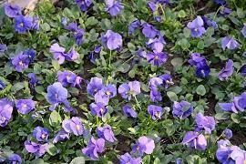 五四青年节文案短句2021年合集65句