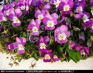 激励自己座右铭中考句子117句