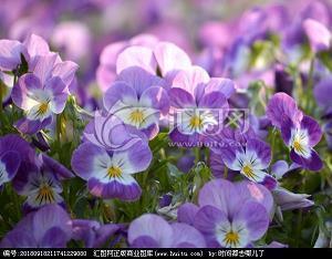 电视剧经典台词语录(精选78句)