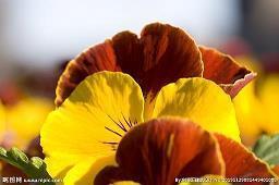 正能量创业的句子 成功正能量的句子(精选47句)