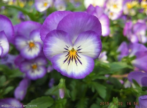 90后奔三的感慨说说 90后真的老了的说说44句